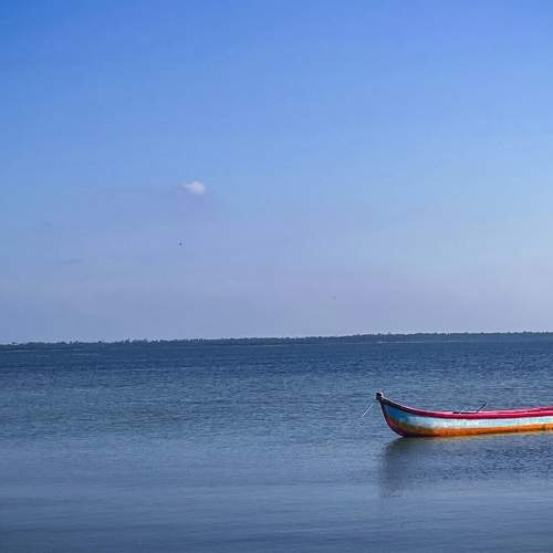 Photo #9097696