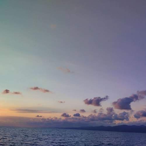 Photo #9098087
