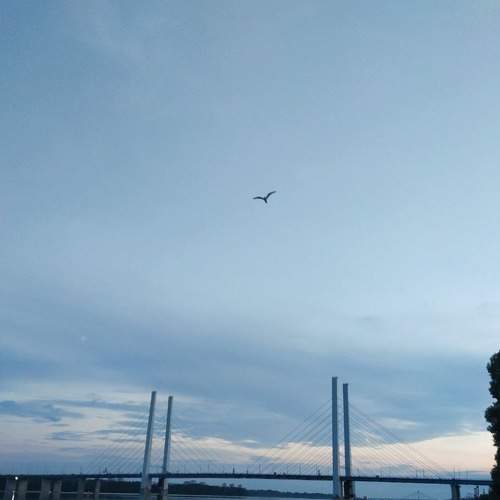 Photo #9098120