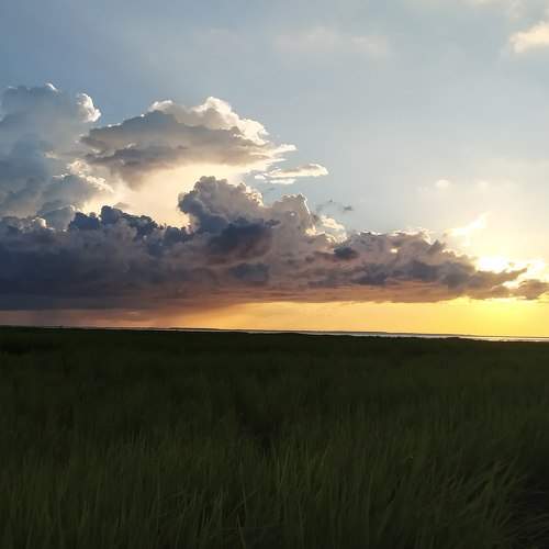 Photo #9098539