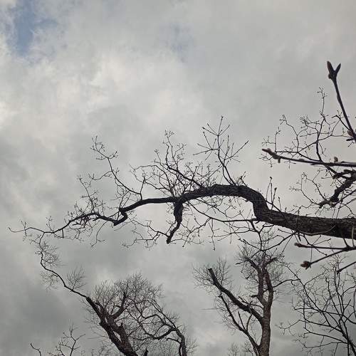 Photo #9098771