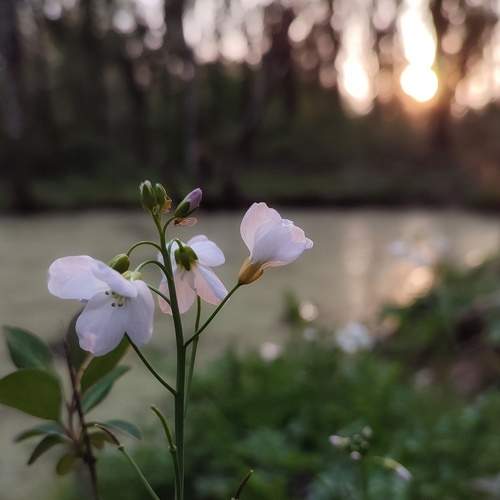 Photo #9098862