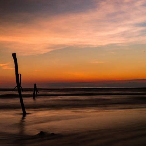 Photo #9099278