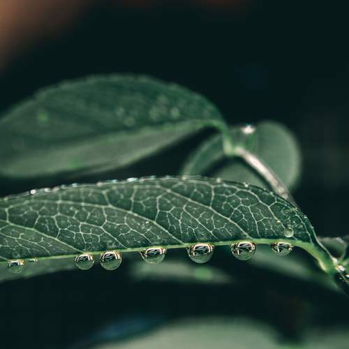 Photo #9099767