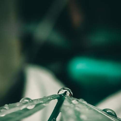 Water drop reflection
