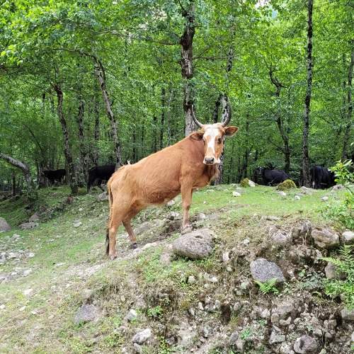 Photo #9100095