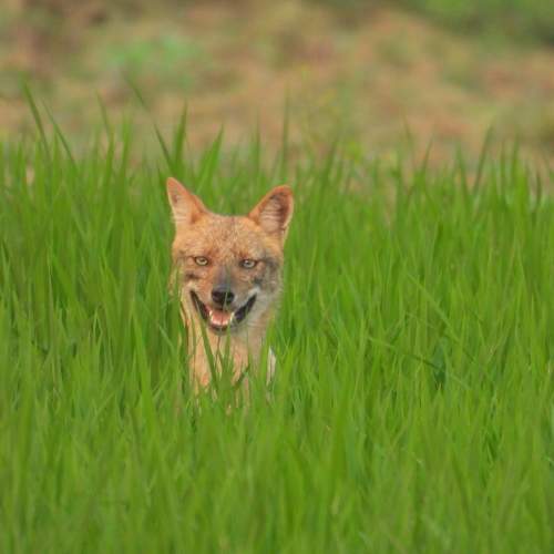 Photo #9100955