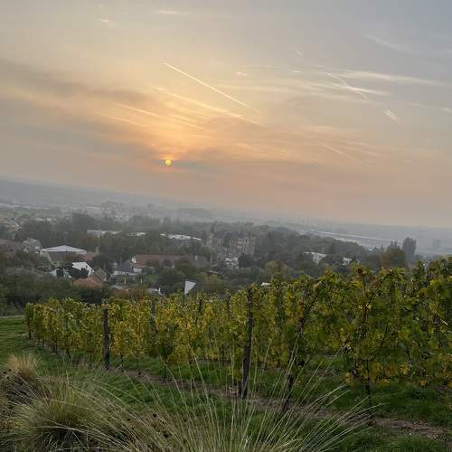 Photo #9100964