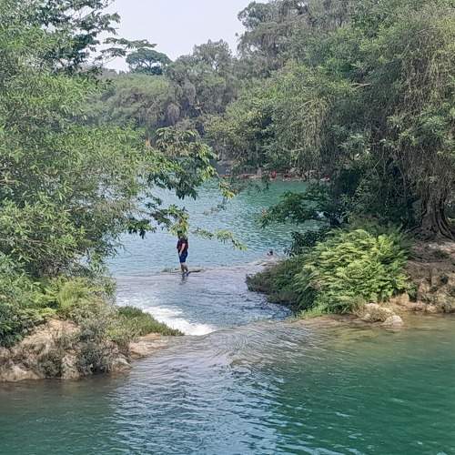 Photo #9101610