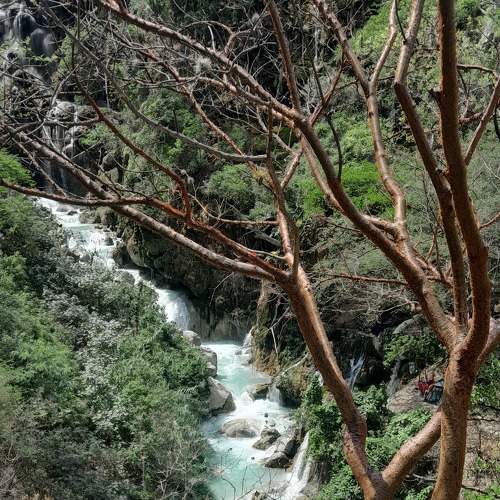 Photo #9101620