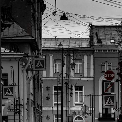 Photo #9101895