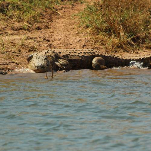 Photo #9102060