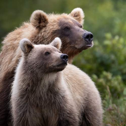 Photo #9102987