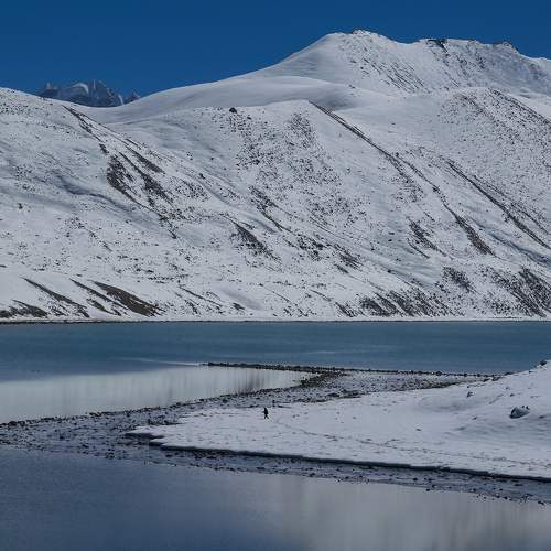 Photo #9103263