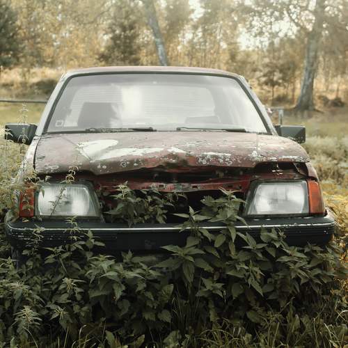 Photo #9103535