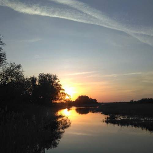 Photo #9103589