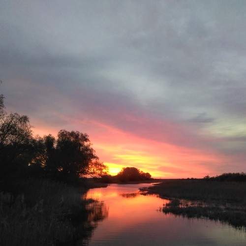 Photo #9103591