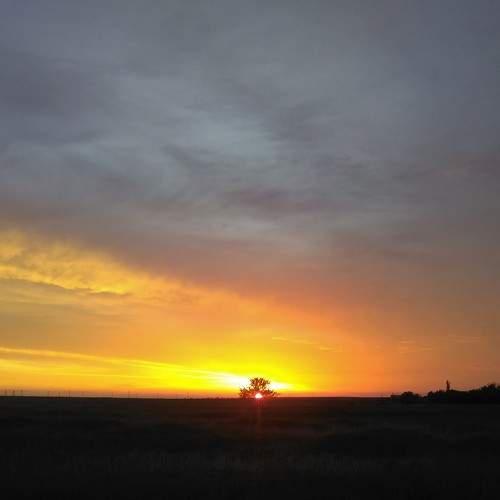 Photo #9103594
