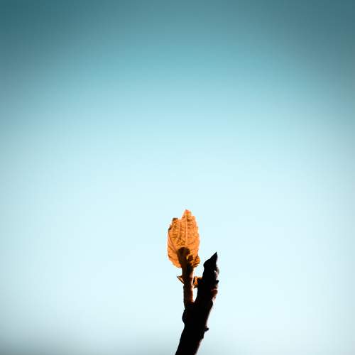 Photo #9103981