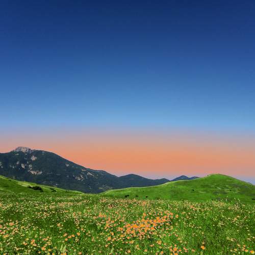 Photo #9105342