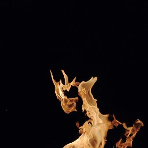Photo #9105404