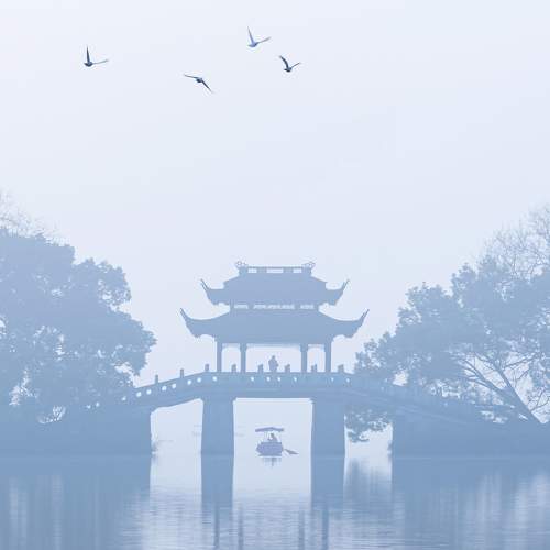 Photo #9105436