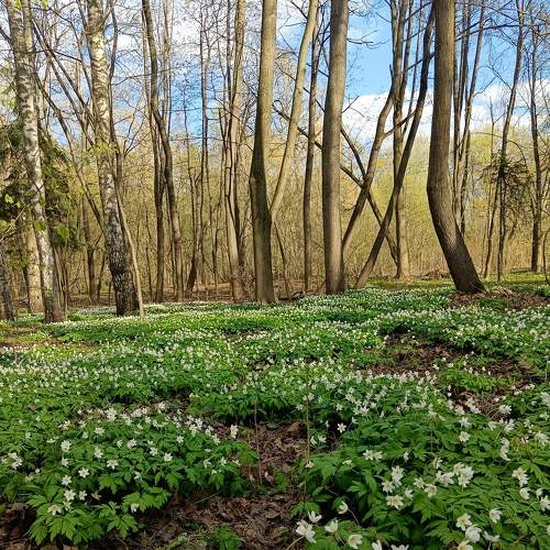 Photo #9105514