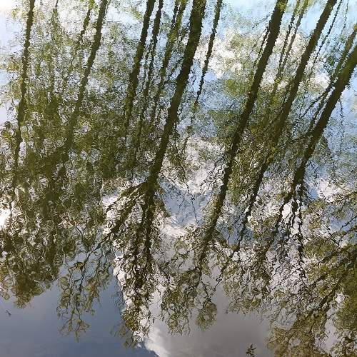 Photo #9105742