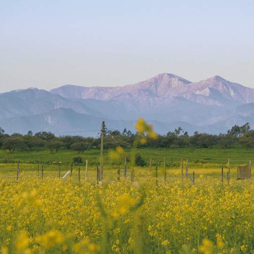 Photo #9105990