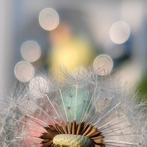 Photo #9106547