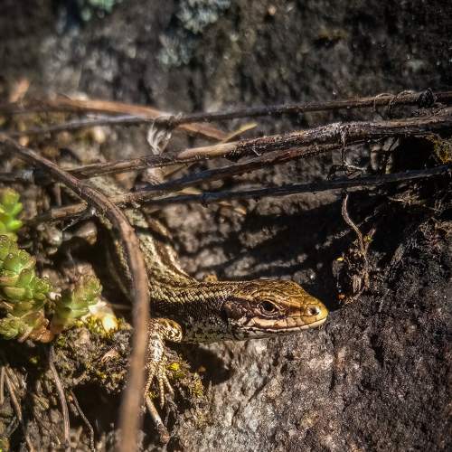 Photo #9106904