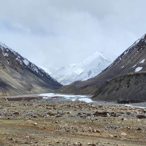 Photo #9107565