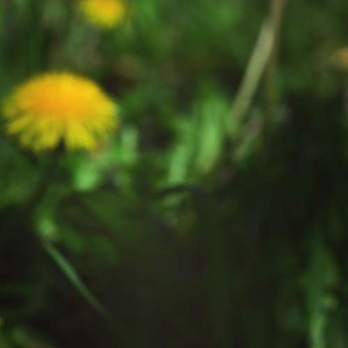 Photo #9107932