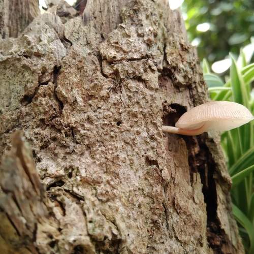 Photo #9108506