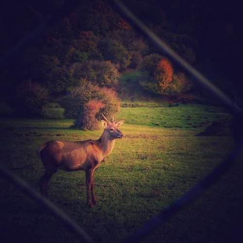 Photo #9108514