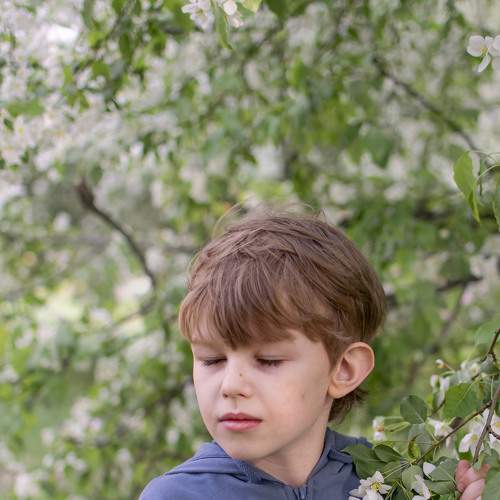 Photo #9109969