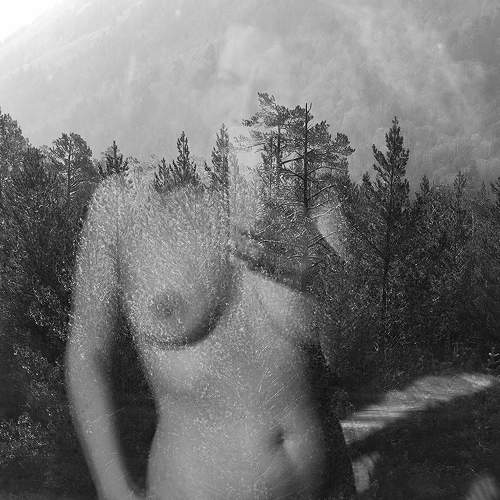 Photo #9109992