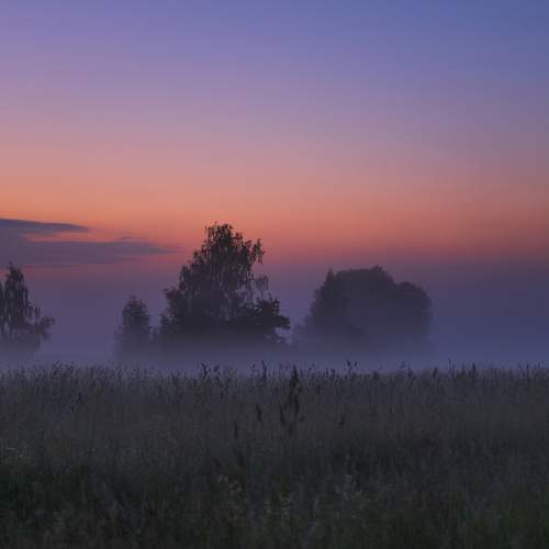 Photo #9110326
