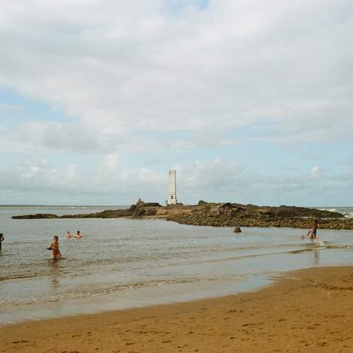 Photo #9110758