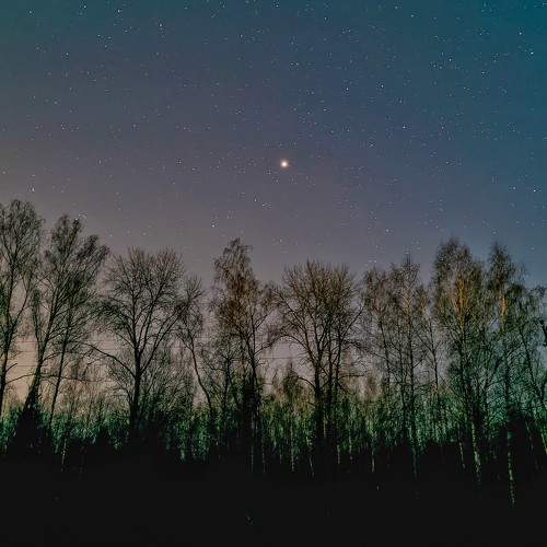 Photo #9110818