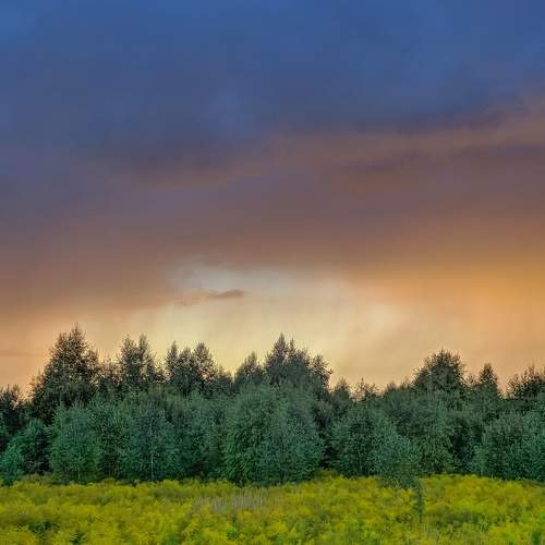 Photo #9110857