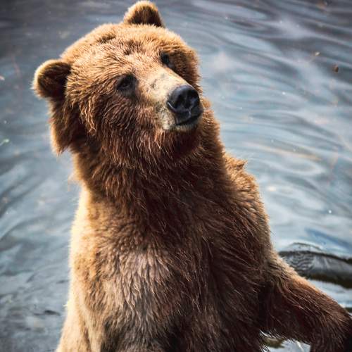 Photo #9111056