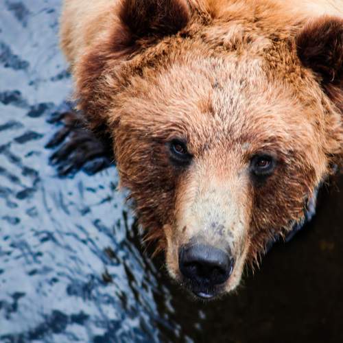 Photo #9111057