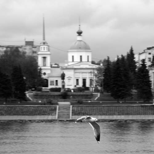Photo #9111917
