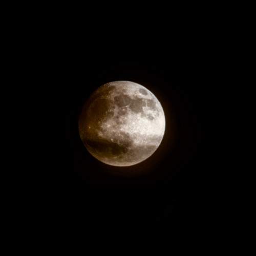 Photo #9111942