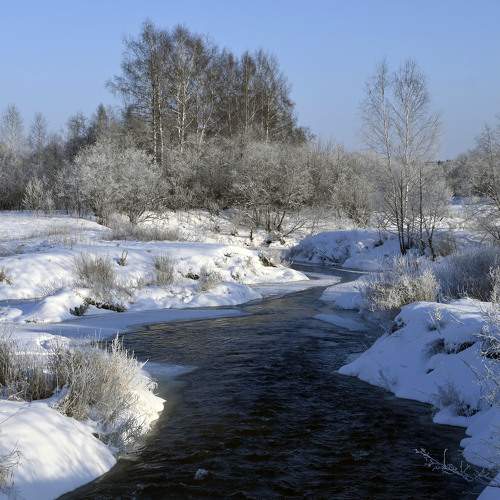 Photo #9112253