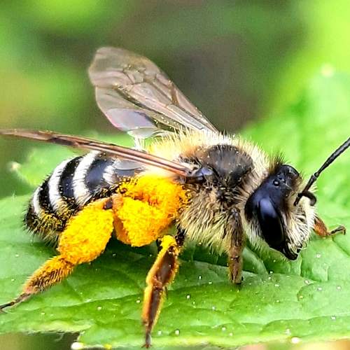 Photo #9112959