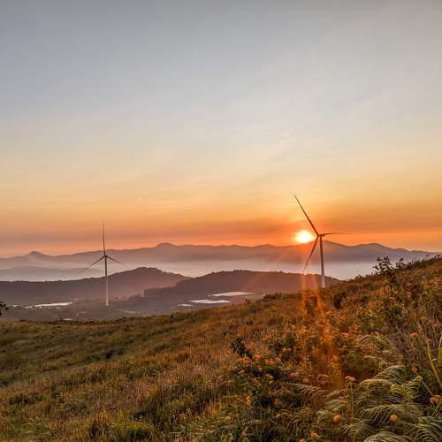 Photo #9113221
