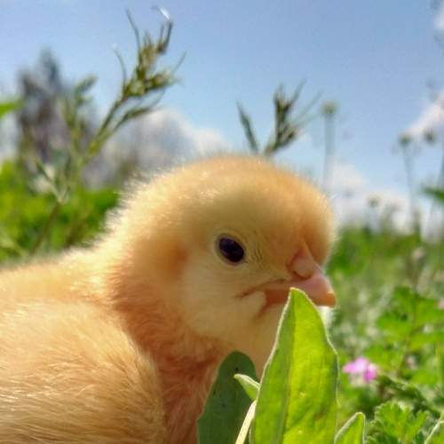 Photo #9113299