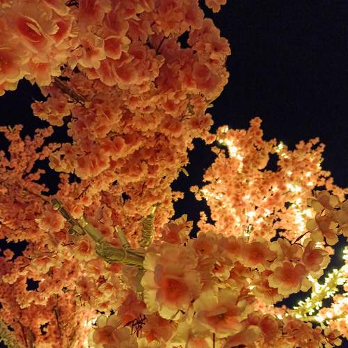 Photo #9113570